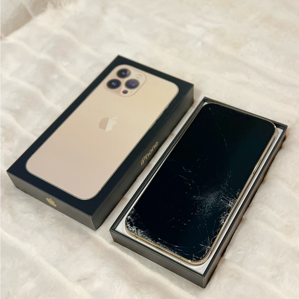 iPhone 13 Pro Max